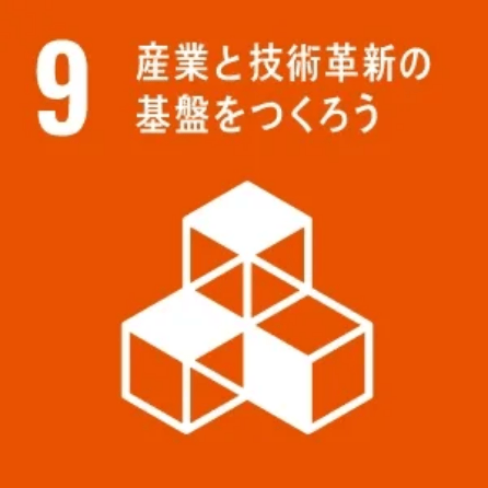 SDGs9